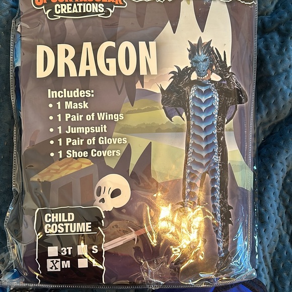 Dragon costume - Picture 2 of 7